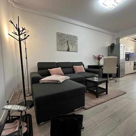 Angela Nordic Apartment. Сучеава Екстериор снимка