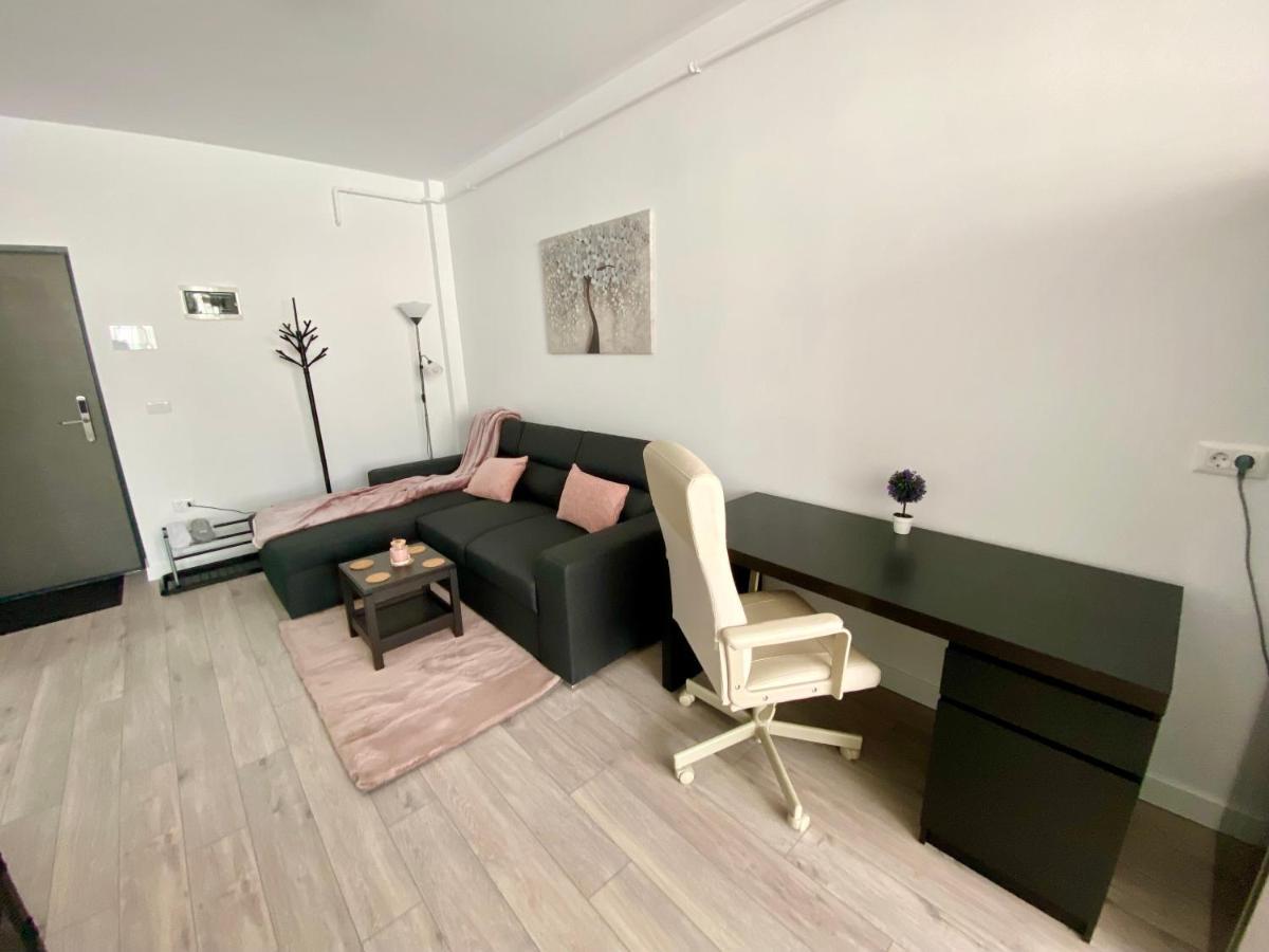 Angela Nordic Apartment. Сучеава Екстериор снимка